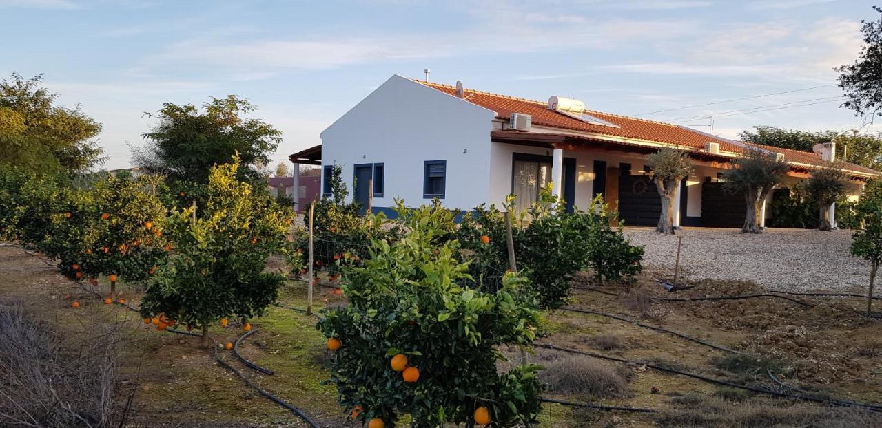 Trendy And Luxe Bed & Breakfast Ferreira Do Alentejo Exterior photo